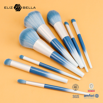 10pcs Beauty Needs Plastik Handle Travel Makeup Brush Set Dengan Rambut Sintetis, Pemesanan OEM Selamat Datang