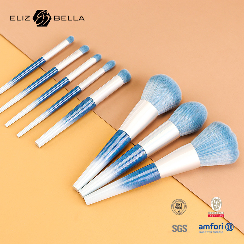 10pcs Beauty Needs Plastik Handle Travel Makeup Brush Set Dengan Rambut Sintetis, Pemesanan OEM Selamat Datang